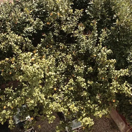St. John לינה וארוחת בוקר 4*