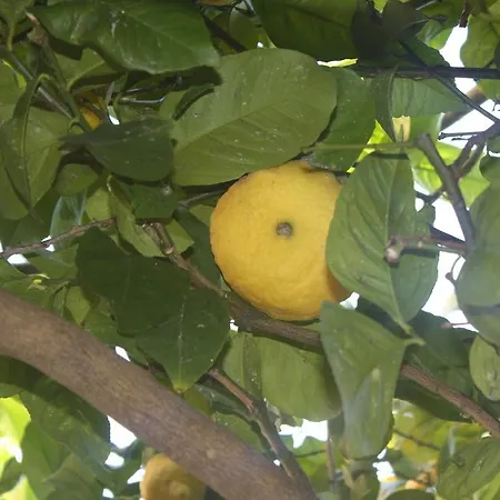 St. John 4* Rom