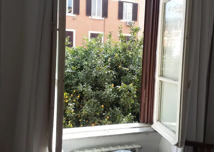 Bed & Breakfast St. John