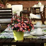 St. John Bed and breakfast 4*