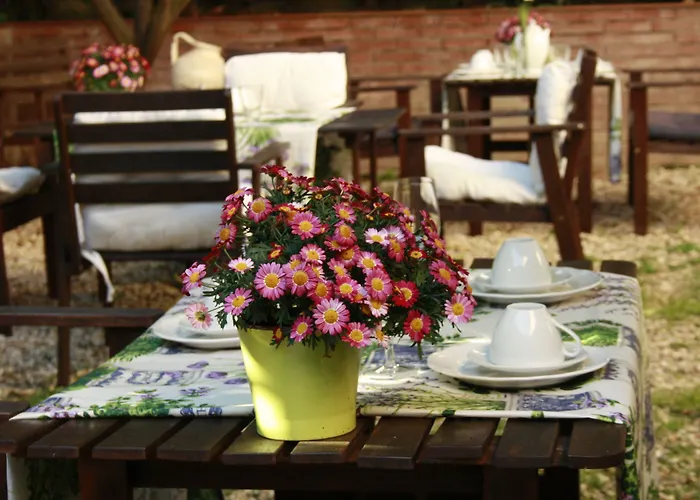 St. John Отель типа 