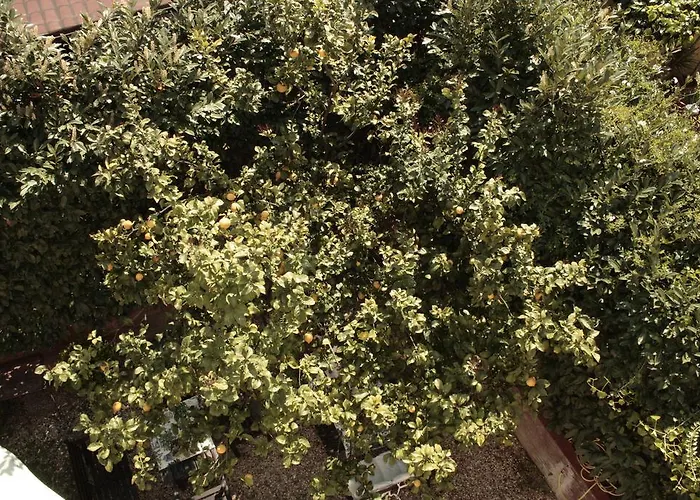 St. John Отель типа 